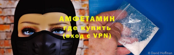 гашик Алексин