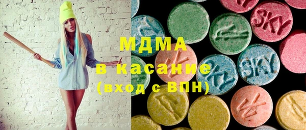 гашик Алексин