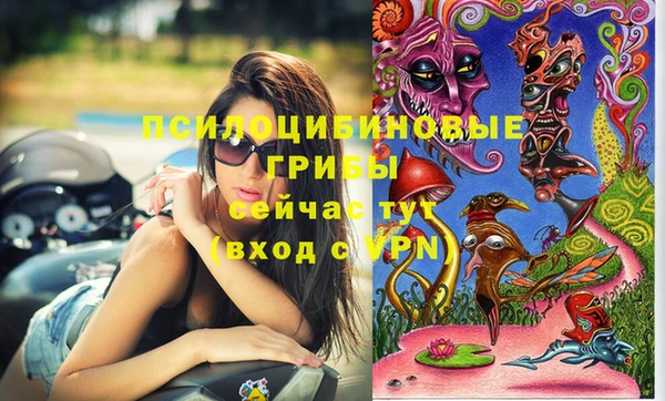 эйфоретик Абаза