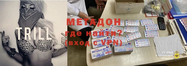 гашик Алексин