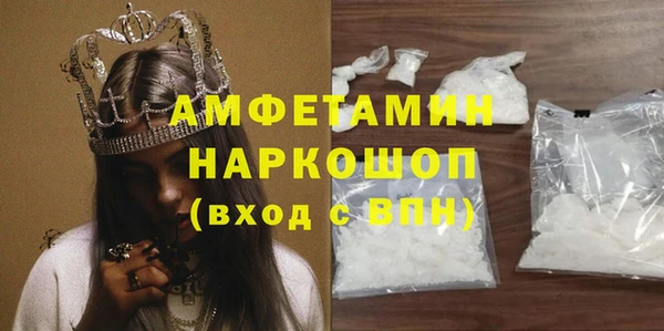 гашик Алексин