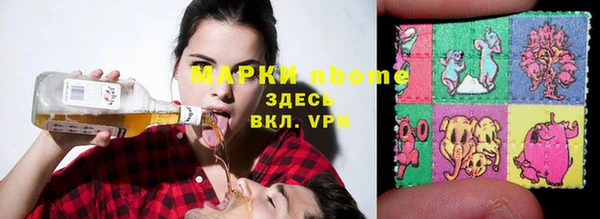 гашик Алексин