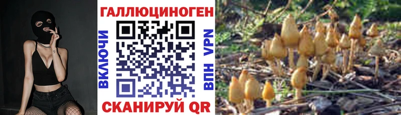 Псилоцибиновые грибы мухоморы  где найти   ОМГ ОМГ рабочий сайт  Благодарный 